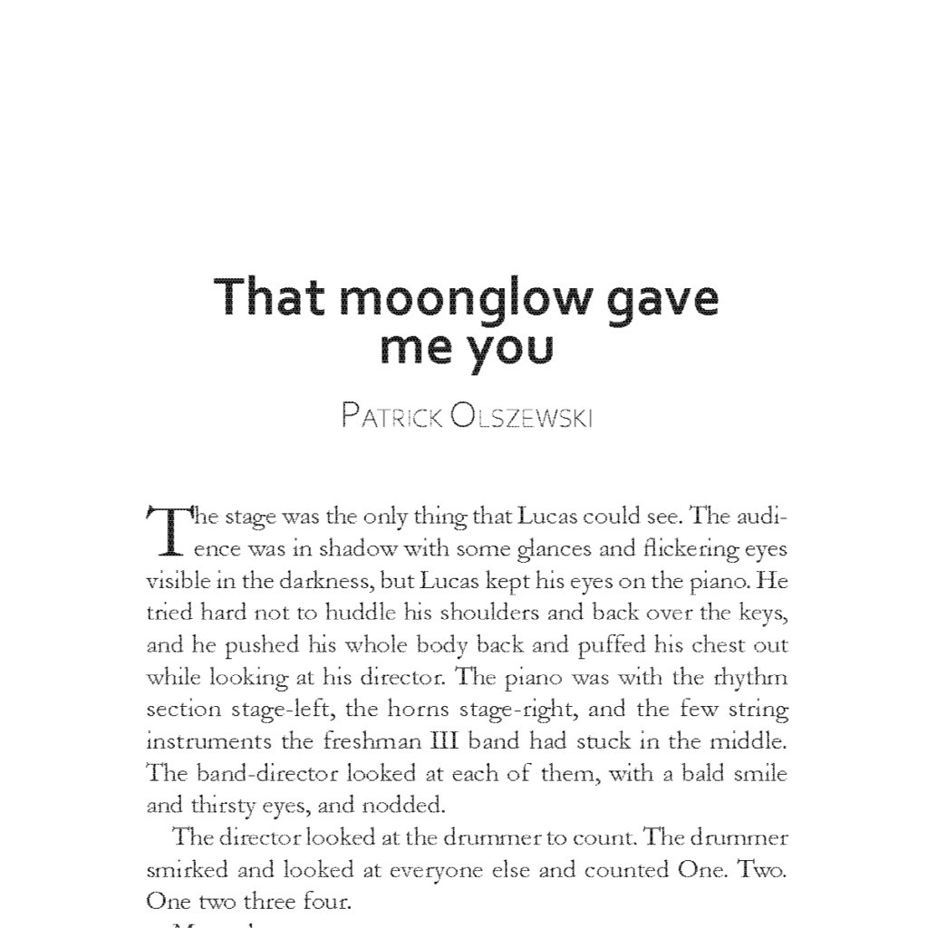 Screenshot of an excerpt from my mock print essay collection.